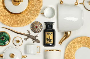 唐物茶入鱼玄机 用茶道视角解析产品与品牌文化的网络技术融合