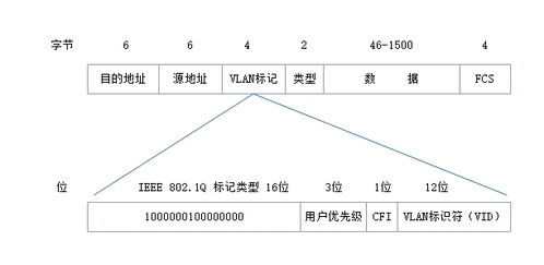 局域网技术 网络互联的基石